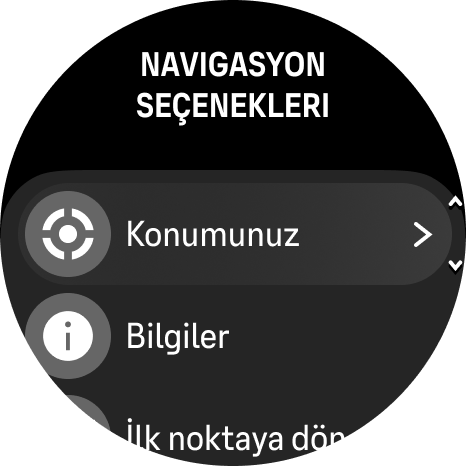 navigasyon seçenekleri Race