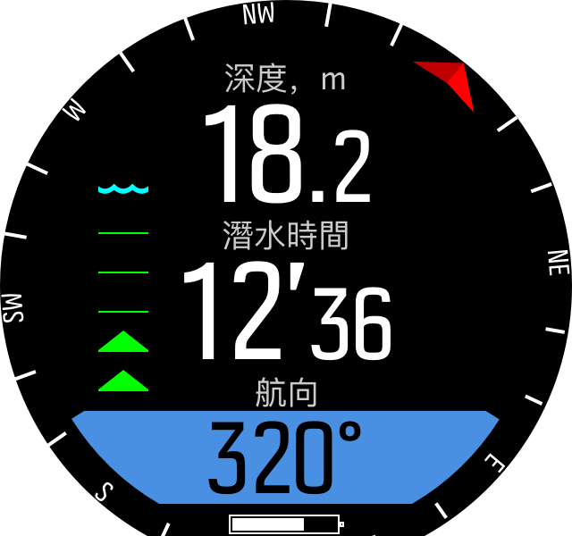 Gauge compass D5