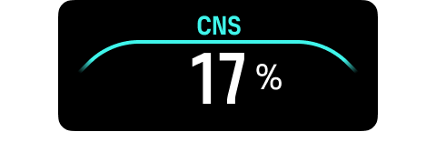 champ cns de la fenêtre commutable