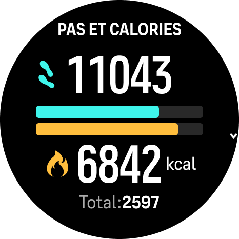 Pas et calories Race