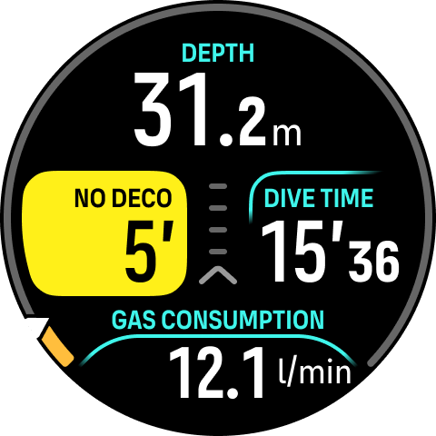 allarme NDL multigas