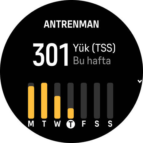 Antrenman Widget'ı