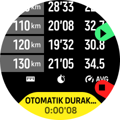 yarışı otomatik duraklatma