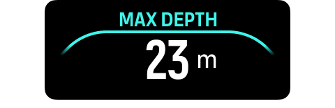 switchfield max depth