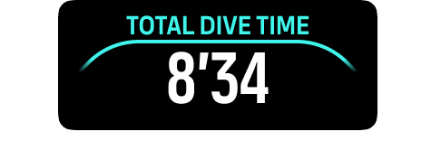 switchfield total dive time